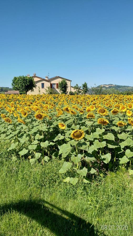 Agriturismo Vallelunga Ancona Esterno foto